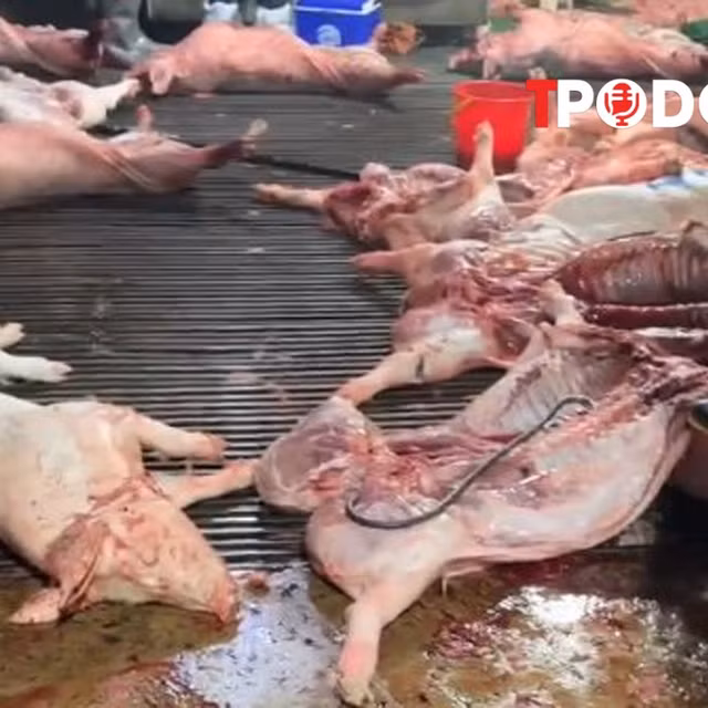 NÓNG 7/4: Vụ thịt lợn bẩn vào trường học: Chuyên gia cảnh báo gì?