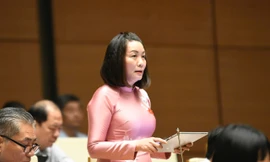 Đề xuất chế tài 'mạnh tay' với những tỉnh không đạt chỉ tiêu thực hiện cam kết về môi trường