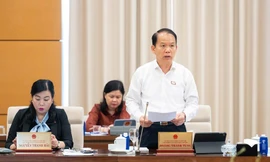 Không có trường hợp nào Viện Kiểm sát truy tố nhưng Tòa án sơ thẩm tuyên không phạm tội