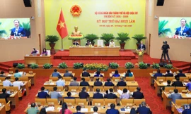 Thống nhất số lượng cấp phó hội đồng nhân dân cấp tỉnh, xã