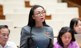 Đại biểu Quốc hội đề xuất 'chặn' hàng giả, quảng cáo sai sự thật từ livestream 