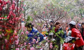 Đề xuất nghỉ 9 ngày Tết Nguyên đán 