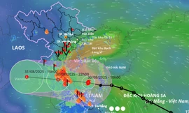 Thủ tướng yêu cầu tập trung ứng phó bão số 6