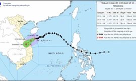 Thủ tướng yêu cầu 5 tỉnh, thành phố đình hoãn các cuộc họp để ứng phó bão số 12