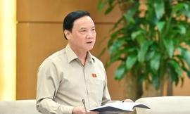 Phó Chủ tịch Quốc hội: 'Lấy một ông giám đốc về làm vụ trưởng rất hay'