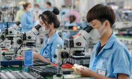 Mức lương tối thiểu mới chỉ làm tăng chi phí đóng bảo hiểm