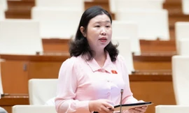 Vụ Vạn Thịnh Phát khối lượng công việc cực kỳ lớn, giám định tối đa 3 tháng là 'bất khả thi'