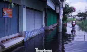 Người dân dựng tấm chắn, đắp bao cát chống triều cường ở TPHCM