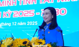 Thanh niên Tây Ninh xung kích chuyển đổi số, phát triển chiến lược tỉnh biên giới