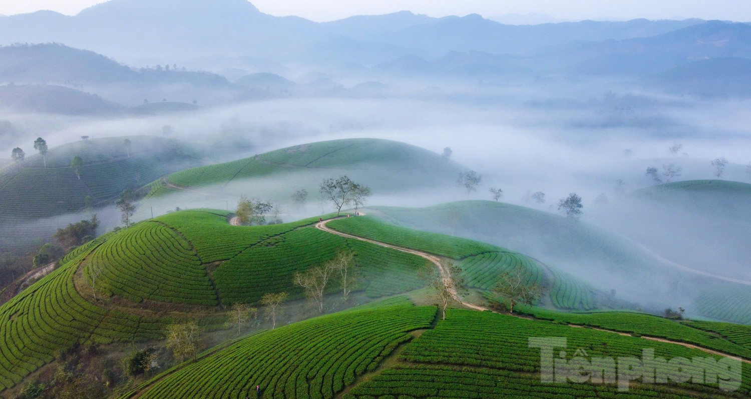 Với hàng trăm, hàng ngàn quả đồi nhỏ, đồi chè Long Cốc tạo nên một cảnh đẹp hùng vĩ và tràn ngập màu xanh tươi mát. Với hàng trăm, hàng ngàn quả đồi nhỏ, đồi chè Long Cốc tạo nên một cảnh đẹp hùng vĩ và tràn ngập màu xanh tươi mát.