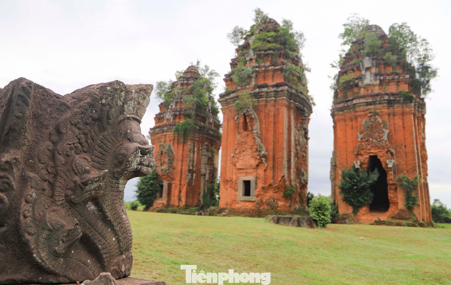 Một trong những yếu tố thể hiện rõ nét sự ảnh hưởng văn hóa Khmer đó chính là hình tượng rắn thần Naga. Trải qua các lần khai quật tại tháp Dương Long với mục đích trùng tu, tôn tạo các nhà khảo cổ học đã phát hiện số lượng lớn hiện vật điêu khắc đá mà phần lớn thể hiện đề tài rắn Naga. Ảnh: Trương Định Một trong những yếu tố thể hiện rõ nét sự ảnh hưởng văn hóa Khmer đó chính là hình tượng rắn thần Naga. Trải qua các lần khai quật tại tháp Dương Long với mục đích trùng tu, tôn tạo các nhà khảo cổ học đã phát hiện số lượng lớn hiện vật điêu khắc đá mà phần lớn thể hiện đề tài rắn Naga. Ảnh: Trương Định
