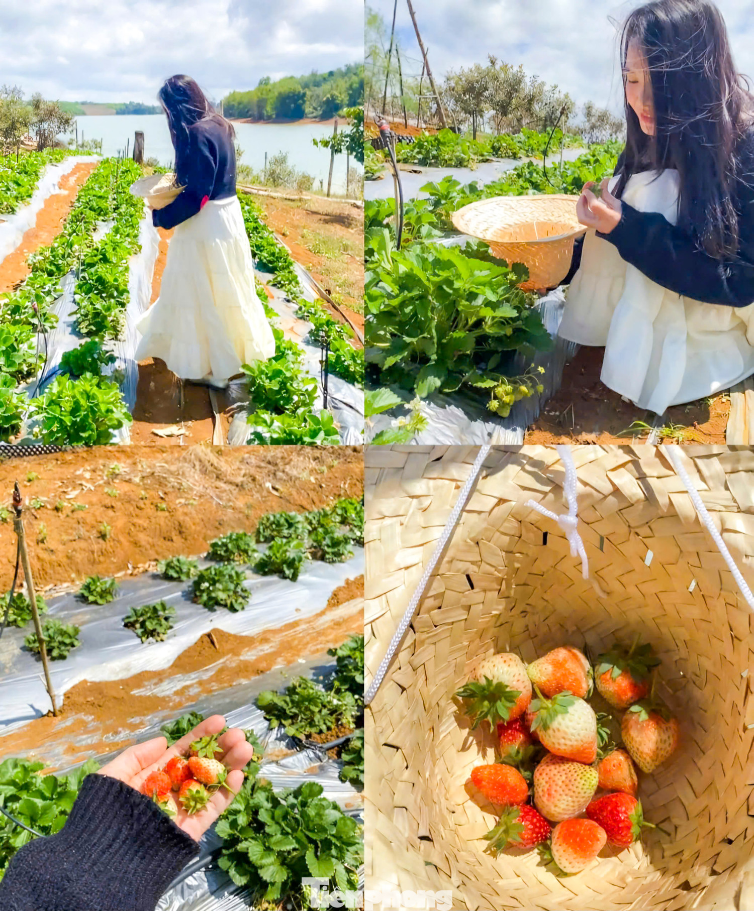 Một nữ du khách say mê với điểm du lịch mới. Một nữ du khách say mê với điểm du lịch mới.