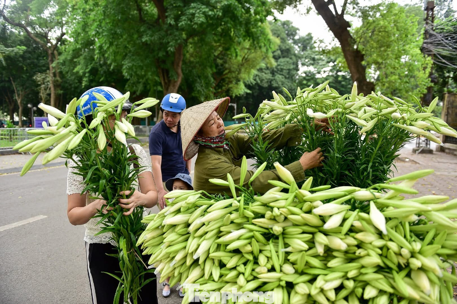 Trong sắc trời tháng 4, sự xuất hiện của hoa loa kèn trên những con phố trở thành điểm nhấn tuyệt đẹp cho bức tranh giao mùa của Hà Nội, khiến nhiều du khách say đắm. Trong sắc trời tháng 4, sự xuất hiện của hoa loa kèn trên những con phố trở thành điểm nhấn tuyệt đẹp cho bức tranh giao mùa của Hà Nội, khiến nhiều du khách say đắm.