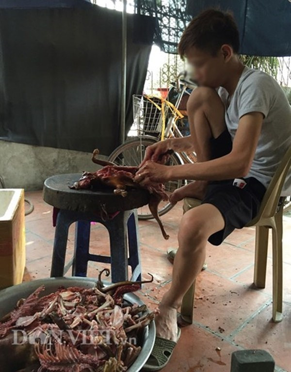 Lạnh người xem mèo bị dìm chết, xẻ thịt ở Thái Bình ảnh 3