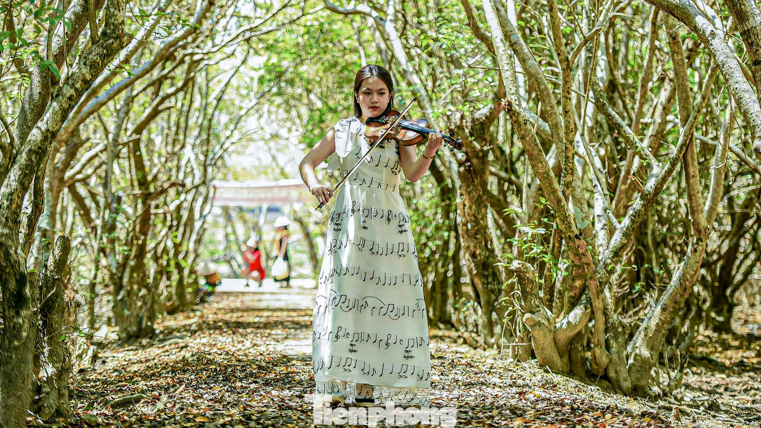 Bạn Vân Linh - sinh viên Học viện Âm nhạc Huế - cho biết, cánh rừng đang vào mùa trổ bông, thay lá rất đẹp. "Em và bạn đến đây để tận hưởng khí trời, nhìn ngắm vẻ đẹp của rừng Rú Chá đang vào thu, cùng nhau tham quan và chụp hình để lưu giữ những bức hình đẹp", Linh nói. Phong cảnh và vẻ đẹp nguyên sơ của Rú Chá thu hút rất đông du khách đến đây tham quan, chụp hình. Bạn Vân Linh - sinh viên Học viện Âm nhạc Huế - cho biết, cánh rừng đang vào mùa trổ bông, thay lá rất đẹp. "Em và bạn đến đây để tận hưởng khí trời, nhìn ngắm vẻ đẹp của rừng Rú Chá đang vào thu, cùng nhau tham quan và chụp hình để lưu giữ những bức hình đẹp", Linh nói. Phong cảnh và vẻ đẹp nguyên sơ của Rú Chá thu hút rất đông du khách đến đây tham quan, chụp hình.