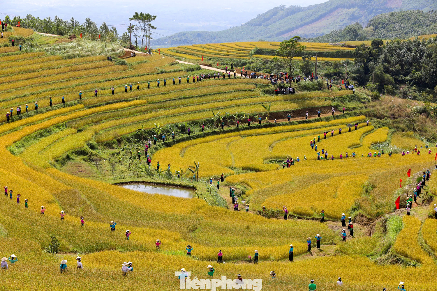 Tại đây, xen kẽ các khu ruộng bậc thang là những thác nước đẹp với độ cao hàng trăm mét đổ xuống những cánh rừng nhỏ, bản làng cùng các nếp nhà sàn tạo nên khung cảnh giao hòa giữa thiên nhiên và con người. Tại đây, xen kẽ các khu ruộng bậc thang là những thác nước đẹp với độ cao hàng trăm mét đổ xuống những cánh rừng nhỏ, bản làng cùng các nếp nhà sàn tạo nên khung cảnh giao hòa giữa thiên nhiên và con người.