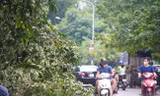 Chủ tịch Hà Nội yêu cầu trực 24/24, tập trung ứng phó bão số 3