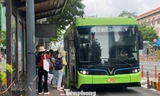 TPHCM có thêm 25 tuyến buýt điện từ ngày 1/3