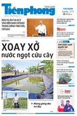 Tiền Phong số 78/2026