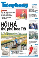 Tiền Phong số 15/2026