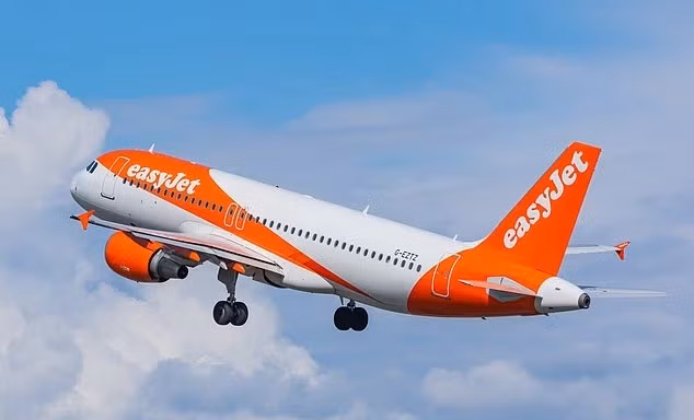 Khách nam bị cáo buộc cưỡng hiếp phụ nữ trên máy bay