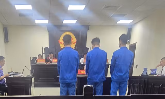 3 'yêu râu xanh' lĩnh 59 năm tù vì hiếp dâm thiếu nữ say rượu 