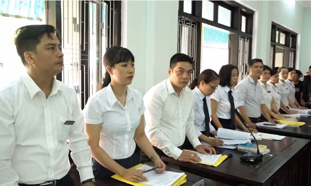 Vai trò của Trợ giúp viên pháp lý trong hoạt động tố tụng hình sự