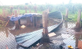 Gió lớn do hoàn lưu bão số 3 làm tấm tôn rơi đè trúng người phụ nữ