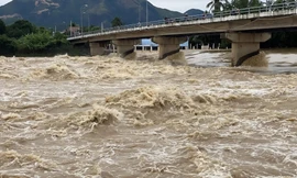 Nước lũ trên sống Cái Nha Trang đang lên rất cao.