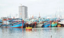 Khánh Hòa cấm biển từ 7 giờ ngày 28/11 để ứng phó bão số 15