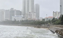 Nước lũ trên sống Cái Nha Trang đang lên rất cao.