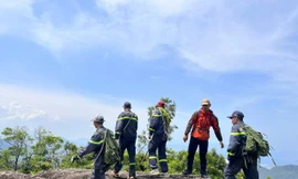 Nguy hiểm rình rập người leo núi khám phá 'nóc nhà' Nha Trang 