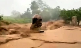 Lũ cuồn cuộn đổ về, tàn phá nhiều diện tích hoa màu ở Khánh Hòa