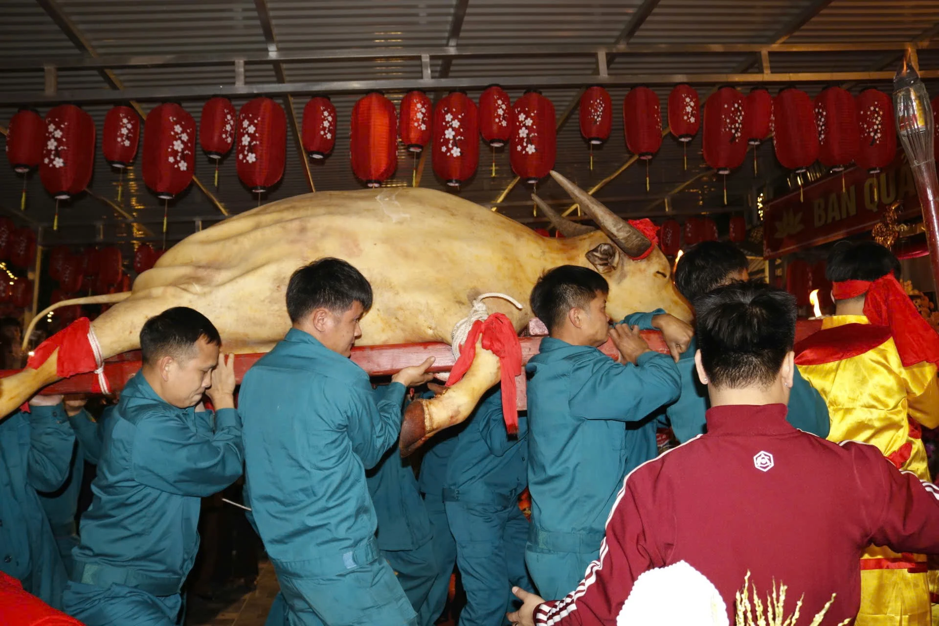 Lễ Hội Đền Đại An Lào Cai: Tế Trâu Trắng Và Rước Mẫu Đầu Xuân