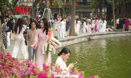 Một mét vuông có hàng chục nàng thơ