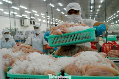 Một số doanh nghiệp thủy sản tạm dừng xuất khẩu Trung Đông