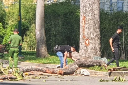 Nhánh cây trong công viên ở TPHCM rơi đè chết 2 người