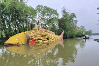 Xuất hiện cá chép 'khủng' trên sông Hoàng Long trước thềm Giáng sinh