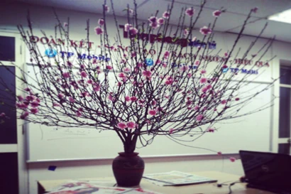 TPO - Thời thanh xuân tươi đẹp của chúng tôi