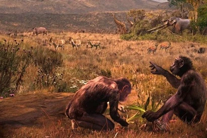 Linh trưởng “tiền con người” Graecopithecus freybergi sống cách đây 7,2 triệu năm trên thảo nguyên của lưu vực Athens. Tranh minh họa: Velizar Simeonovski