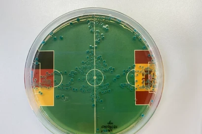 Dự đoán đúng 100% số trận của Đức tại EURO 2024 nhờ... vi khuẩn