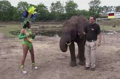 RADIO WORLD CUP tối 3/7: 'Voi tiên tri' bắt Đức thắng Pháp