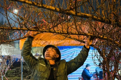 Đốt lửa sưởi ấm, thay nhau trông đào, quất giữa đêm lạnh buốt