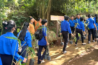 Thanh niên tạo không gian xanh quanh bến nước huyền thoại