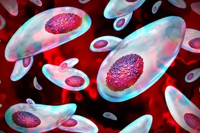 Một loại ký sinh có thể cắt đứt tinh trùng của con người, nguyên nhân gây vô sinh toàn cầu? 