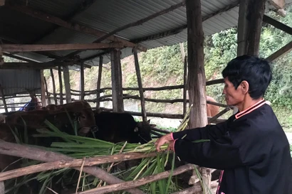 Gặp tỷ phú của người La Hủ ở Mường Tè