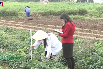 Tiềm năng nguồn dược liệu của Việt Nam