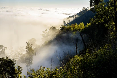 Bồng bềnh 'biển' mây đẹp tựa chốn thiên đường ở miền Tây xứ Nghệ