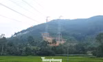 Nhà thầu nói gì về sự cố sạt lở tại chân cột điện 500kV Lào Cai - Vĩnh Yên?