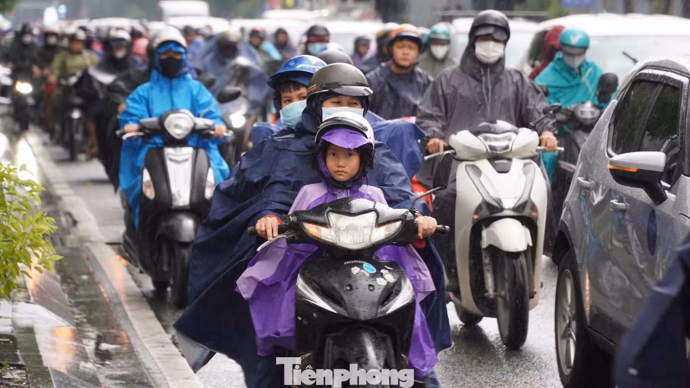 tp-c_1790847534105-2748432056065961488-2748432056065961488-df145db6d7187eadbd211b0f310683c1.jpg